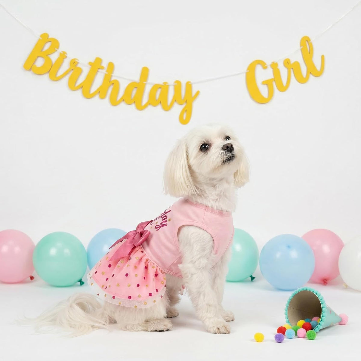 Fitwarm Birthday Girl Dog Tulle Dress - Medium / Birthday Girl - image 4