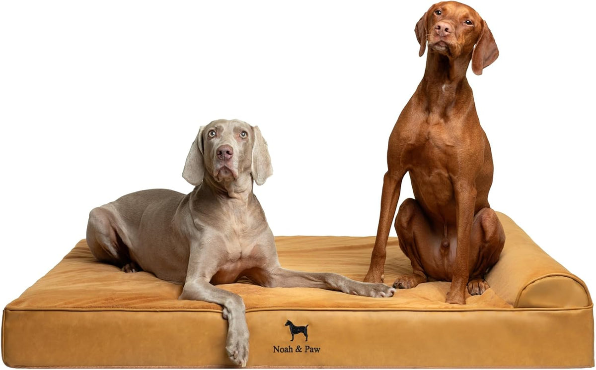 Large Dog Bed Orthopedic Memory Foam Cooling Gel 35x25x8.7 in – Essentials for Dogs - Camel - LE / XX-Large