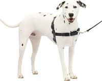 PetSafe Easy Walk Harness, No Pull Dog Harness, Royal Blue - Charcoal/Black / Medium/Large / 1 - image 2