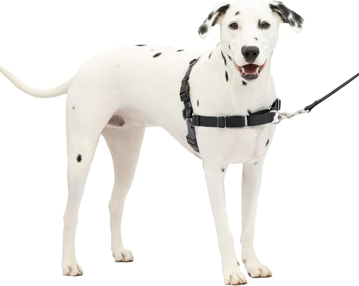 PetSafe Easy Walk Harness, No Pull Dog Harness, Royal Blue - Charcoal/Black / Medium/Large / 1 - image 2