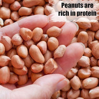 Old Potters Wildlife Shelled Peanuts, 25 lbs for Birds, Squirrels, and Wildlife. USA Grown Non-GMO, Organic Small Farm, Raw Shelled Peanuts. Wildlife Grade, 25 lbs.