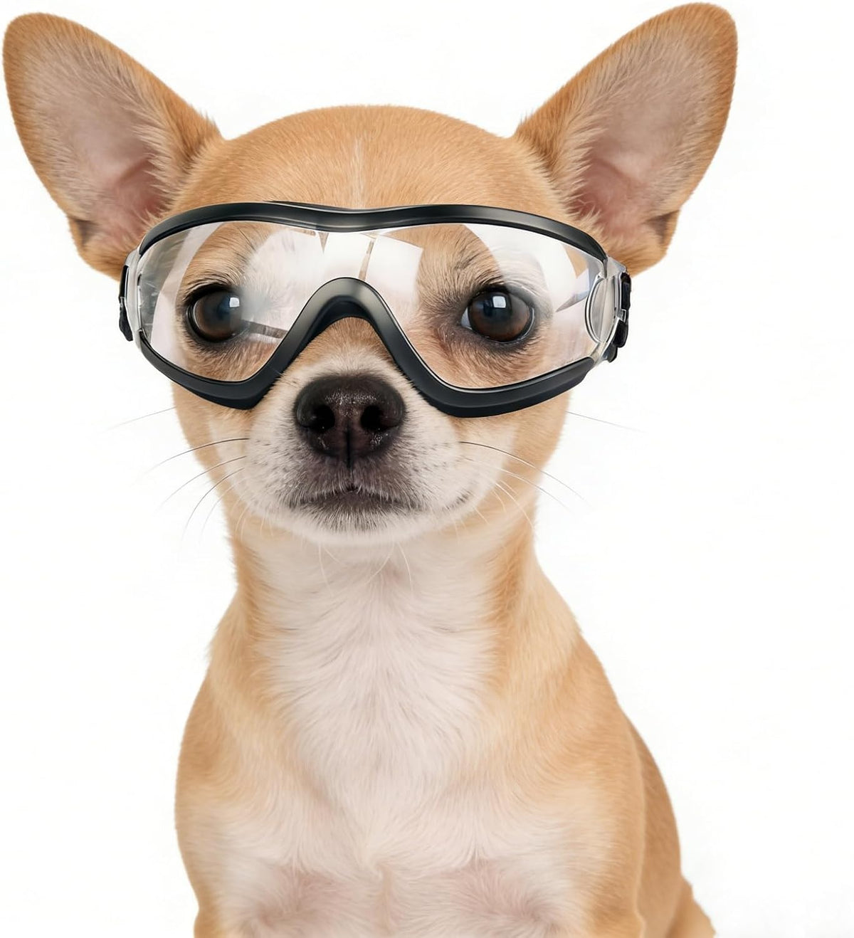 Medium Clear Dog Goggles Eye Protection - Cool Clear / Small