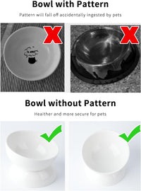 Cat Water Bowl, 15° Tilted and Raised Pet Food Dish - 2 Pack / White - image 2