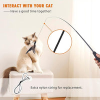 Retractable Cat Wand Toys - Interactive Feather Wand with Bell for Indoor/Outdoor Cats, 8 Pack