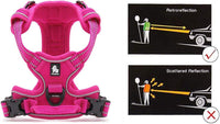 Truelove No Pull Dog Harness with Easy Control Handle and 2 Leash - X-Large / Fuchsia - image 2