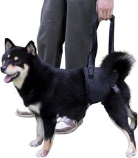Dog Lift Harness for Dogs with Disabled Arthritis and Weak Back Legs, humanized Design with Comfortable Materials, Adjustable Back Legs and Straps, Suitable for Helping Dogs to Recover and Walk. (S)