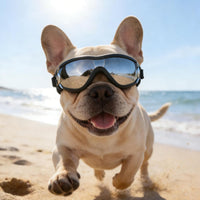 Dog Goggles for Small Breeds - Medium / Black - image 2