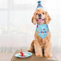 Dog Birthday Party Supplies – Premium Bandana & Hat Set for Dogs - BIG FRENCHIES