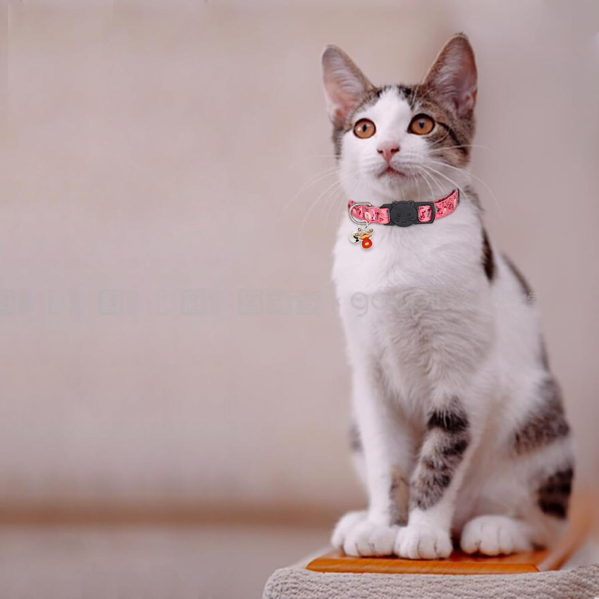 Halloween Cat Collar, Cotton 2 Pack Cat Collar with Bells - Reindeer / 7-11'' - image 2