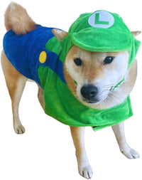 ComfyCamper Hat and Suspenders Dog Costume - Medium / Green