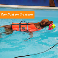 Vivifying Floating Long Dog Leash - 32ft / Black - image 2