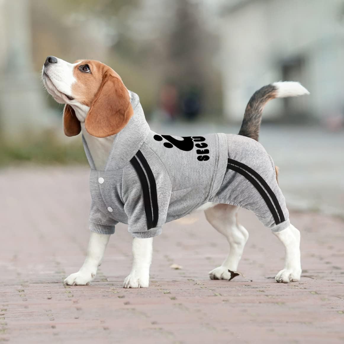 Dog Hoodie Security Clothes 4 Legs Jumpsuit Sweatshirt Hoodies Soft - Grey / X-Large - image 2