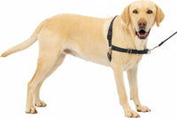 PetSafe Easy Walk Harness, No Pull Dog Harness, Royal Blue - Black / Large / 1 - image 2
