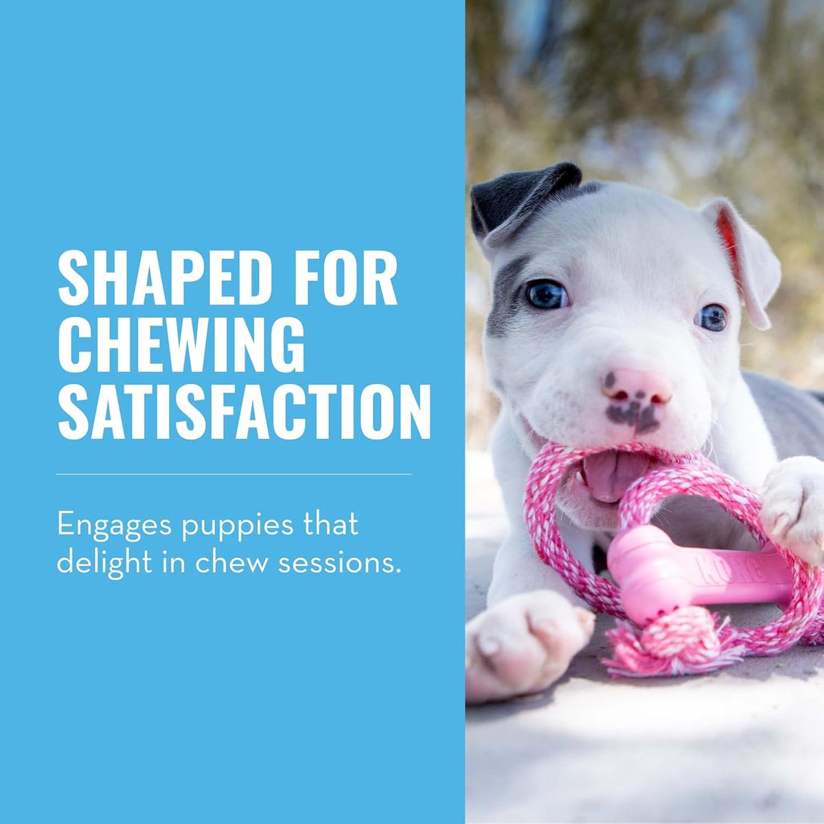 KONG Puppy Goodie Bone with Rope, Natural Rubber, for XS Puppies - Pink - image 2