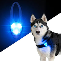 LaRoo Dog Lights, Led Collar Lights for Nighttime Walking - Blue-A
