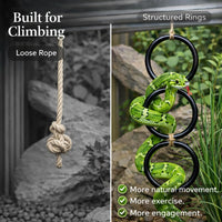 2PCS Snake Climbing Rings for Ball Python - image 3