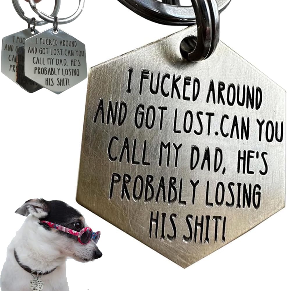 Funny Engraved Dog Tag, Pet Collar Charms ID Tags for Dogs Cats - Dad