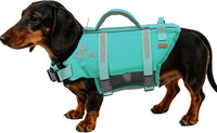 EMUST Dog Life Jacket, Waterproof, Breathable - XS / Turquoise