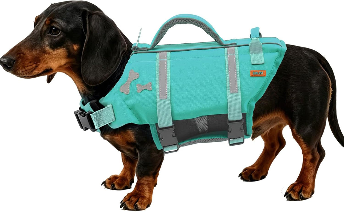 EMUST Dog Life Jacket, Waterproof, Breathable - XS / Turquoise
