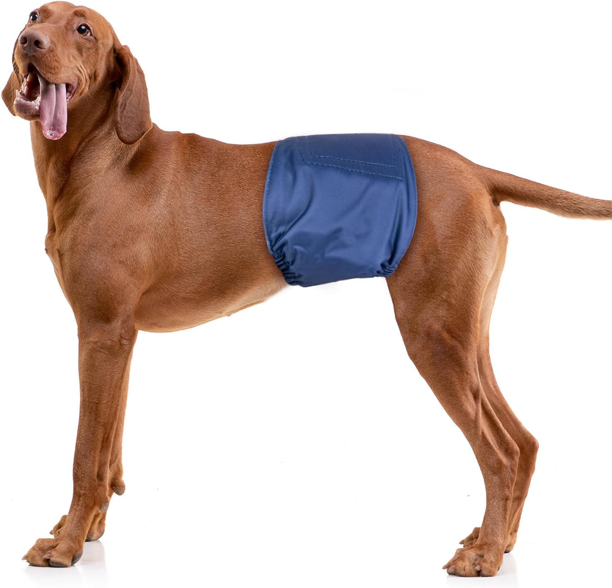 Pet Soft Dog Belly Band, Washable Dogs Belly Bands for Male Dogs - Classics / Small (9''-12'') - image 2