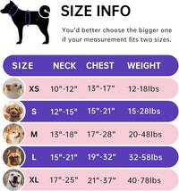 IVY&LANE No Pull Dog Harness for Medium Dogs, Dog Vest Harness with Leash, Safety Belt and Storage Strap, Fully Adjustable Harness, 360° Reflective Strip, Soft Handle (Pink, M)