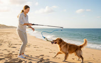 Flirt Pole for Dogs Interactive Chase Toy for Large Medium Small - blue-dog pole toy - image 3