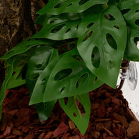 Fake Calathea Orbifolia, Reptile Terrarium Suction Plants – Essentials for Fish - Fake Swiss Cheese Plants Monstera Adansonii - image 4