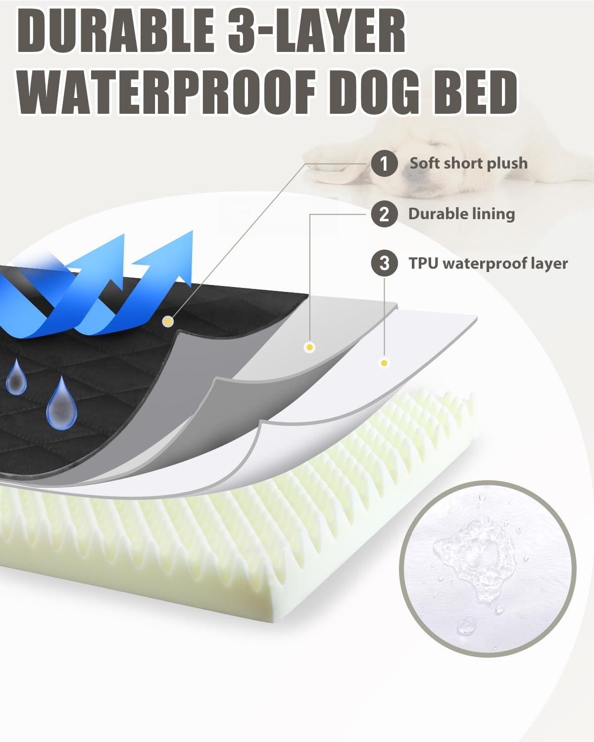 Orthopedic XL Dog Beds Large Sized with Washable Cover, 41x27 - 47.0"L x 29.0"W x 4.0"Th / Black - image 3