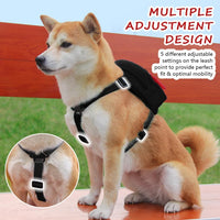 Dog Backpack Harness with Leash - Medium / Black - image 3