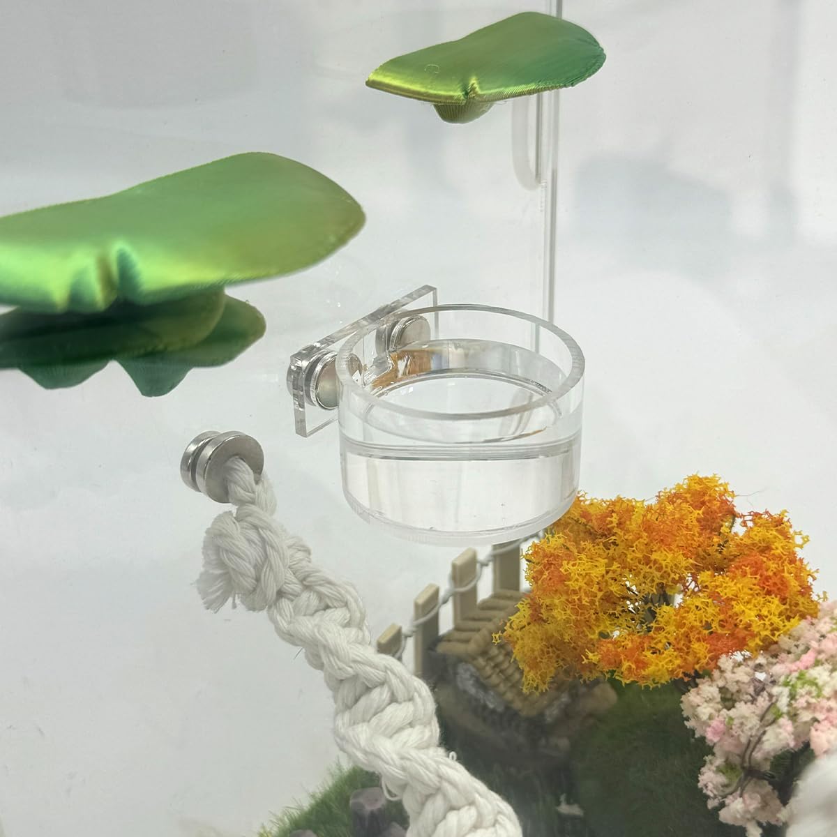 Jumping Spider Feeding Dish Set, Magnetic Water Bowl - image 4