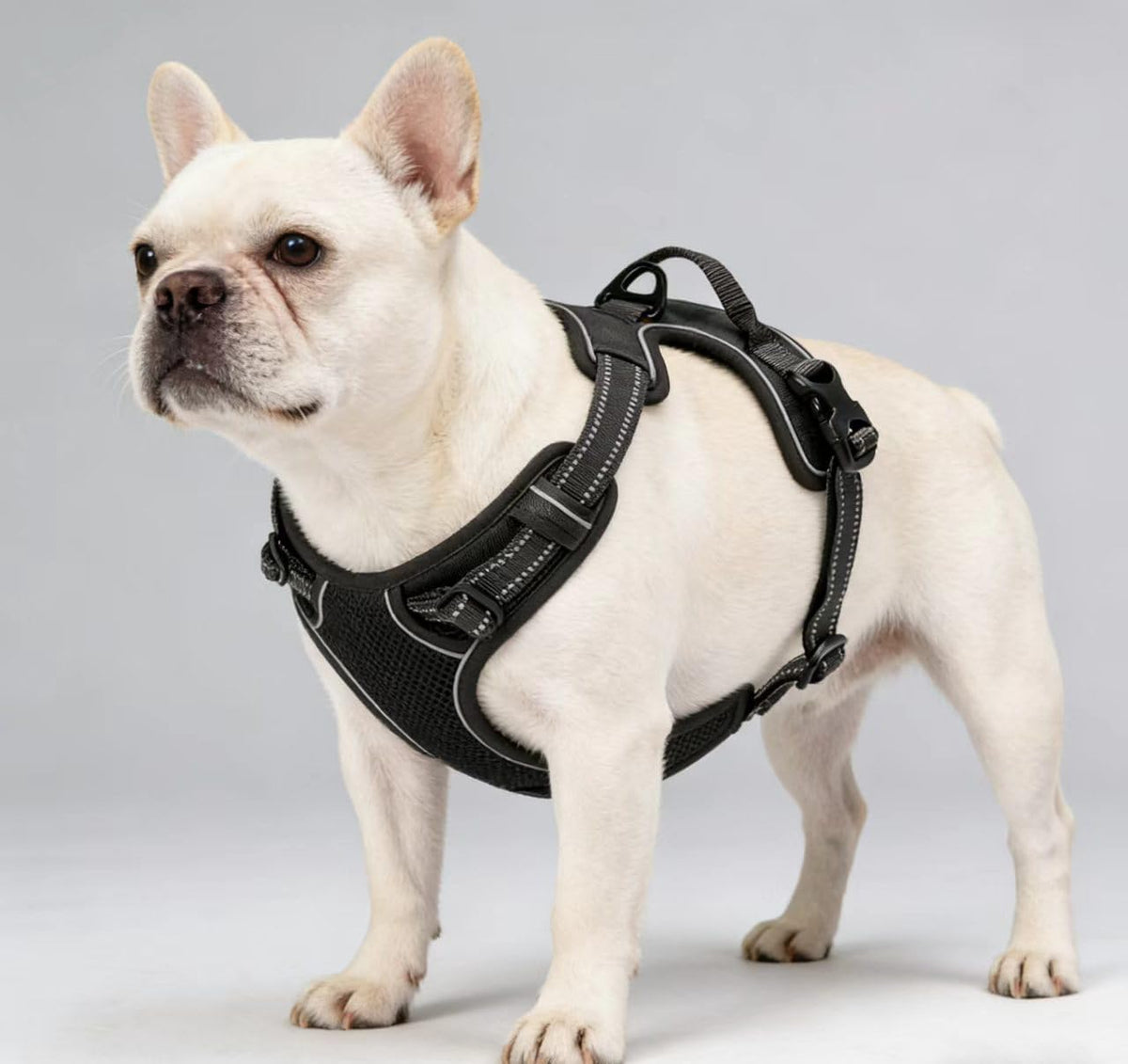 Blue No-Pull Dog Harness with 2 Leash Clips，Soft Padded Vest - Medium / Black