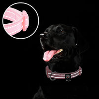 Reflective Dog Collar, Neoprene Padded Small Dog Collar, S - Medium (Pack of 1) / Pink - image 4