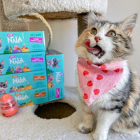 LOVE, NALA - Natural Adult Cat Wet Food - FLAKED Variety Pack - Salmon, Tuna, Chicken - Grain Free, Non-GMO, Lean Protein, Omega 3, Digestive Fiber Blend, Added Minerals & Vitamins - 12 Pack