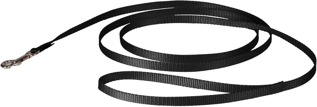 PetSafe Nylon Dog Leash, Strong, Durable - 1 Count (Pack of 1) / Black