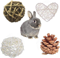 ANDES Rabbit Chew Toys, Pet Bunny Tooth Chew Toys Organic Natural Apple Wood Grass Cake Ideal - 13PCS - image 3