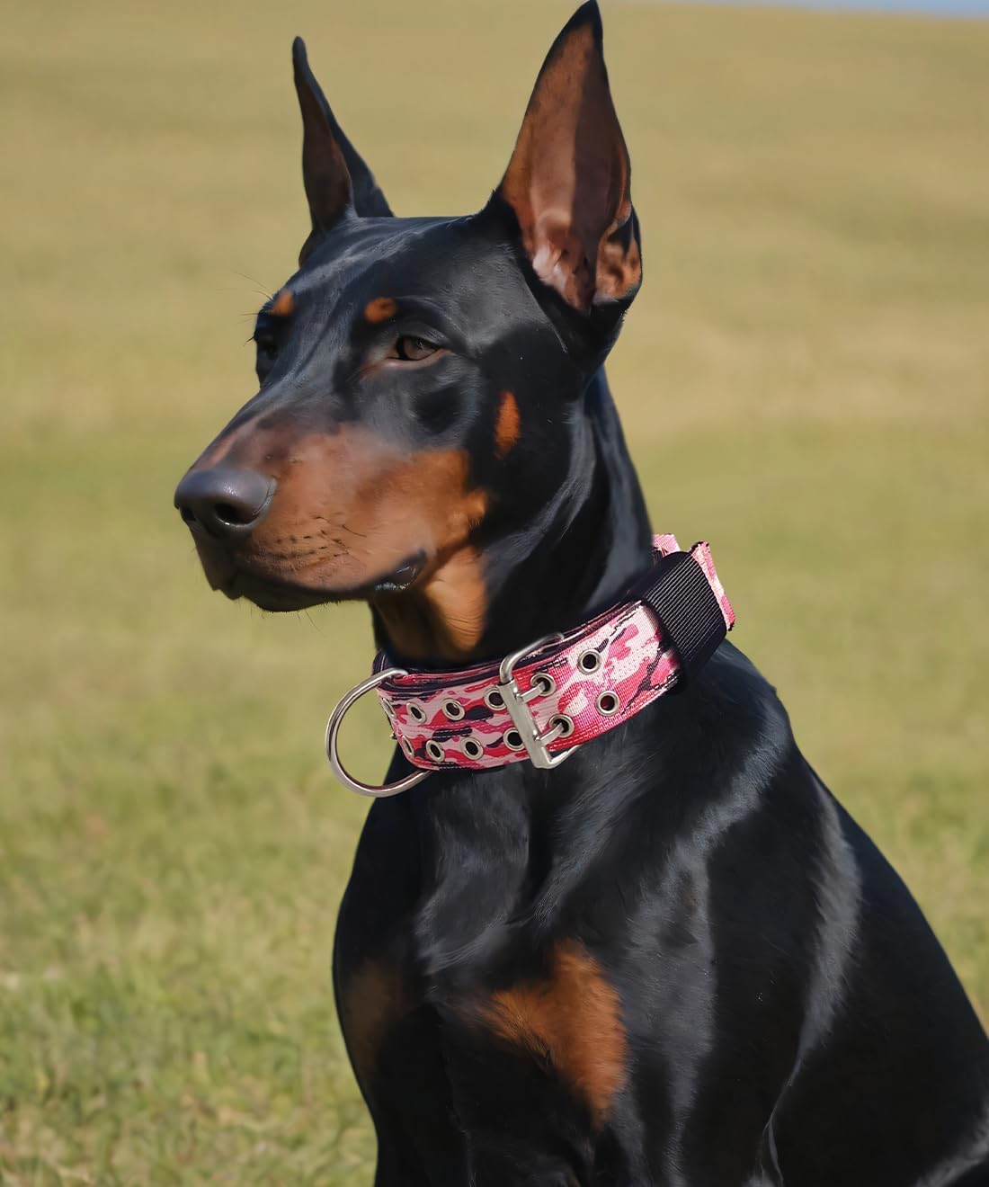 Dog Collar for Large Dogs, with Handle 2" Wide Heavy Duty - Camo Pink / L - image 2