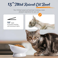 Raised Cat Food Bowl Ceramic 15° Tilted Cat Food Bowls Protect Cat's - blue white / 1 - image 3