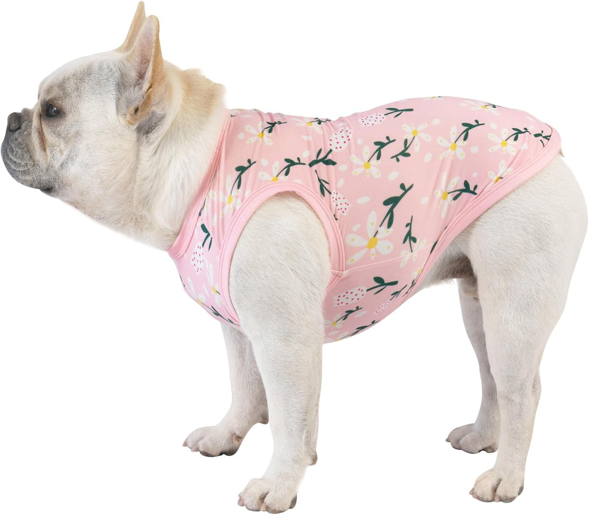 CuteBone Dog Shirts 2-Pack Soft Pet Clothes Breathable Summer Vest - Large / Flowers&pineapple - image 4