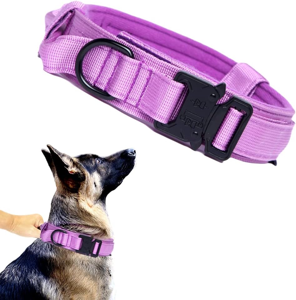 Tactical Dog Collar Adjustable Military Nylon Dog Collar with Control - Medium (Pack of 1) / Purple