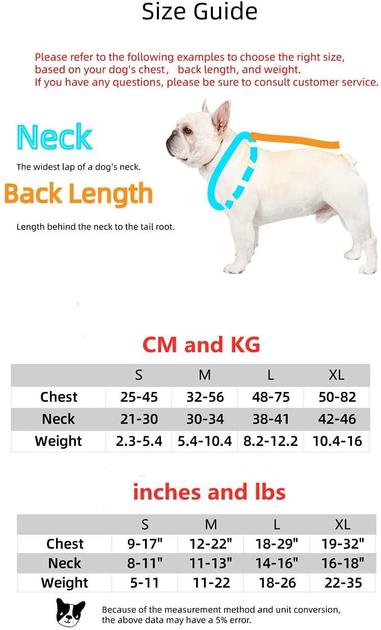 Luxury Red Lips Breathable Mesh Harness Chest Back + Traction - BIG FRENCHIES