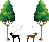 XiaZ Dog Tie Out Cable, Pet Lead for Yard, Camping, Outdoor - 100ft for 2 dog / Silver - image 4