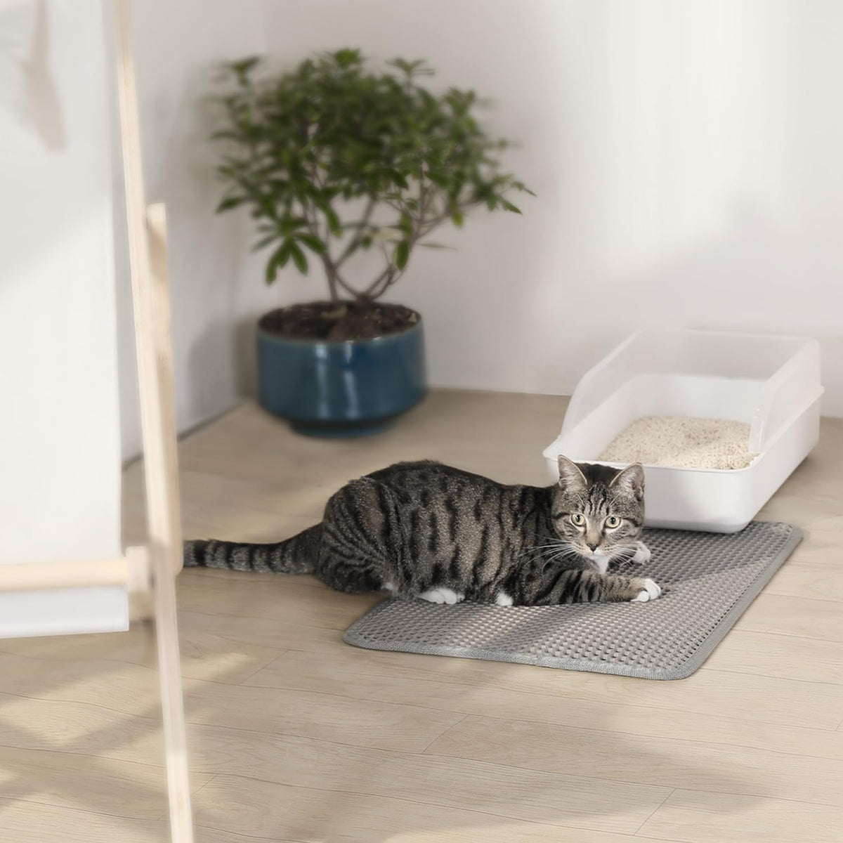 Conlun Cat Litter Trapping Mat for Small Spaces - Gray / Large (27" x 19") - image 4