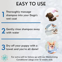 Gallon Bottle 5 in 1 Dog Shampoo for Itchy Skin - Sensitive Skin Dog Shampoo for Smelly Dogs - Dog Shampoos & Conditioners - Made in The USA