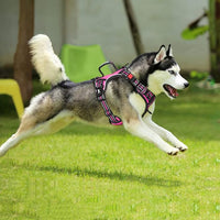PoyPet No Pull Dog Harness, No Choke Front Clip Reflective Dog Vest with Soft Padded Vertical Handle, 3 Leash Attachments for Small Medium Large Dogs (Pink,XL)