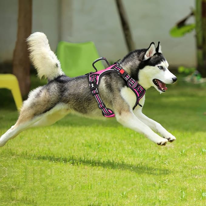 PoyPet No Pull Dog Harness, No Choke Front Clip Reflective Dog Vest with Soft Padded Vertical Handle, 3 Leash Attachments for Small Medium Large Dogs (Pink,L)
