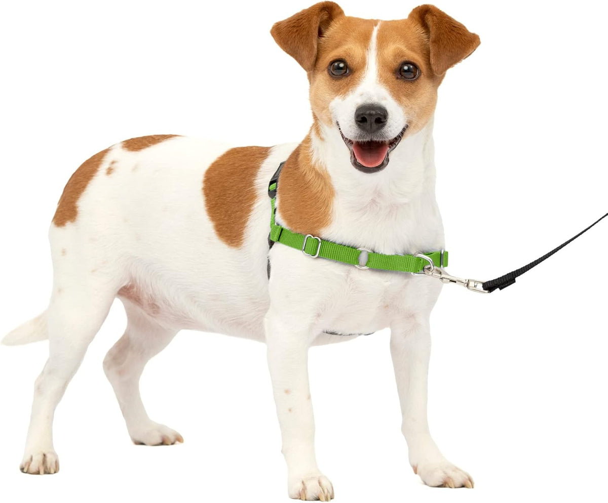 PetSafe Easy Walk Harness, No Pull Dog Harness, Royal Blue - green / Small / 1 - image 2