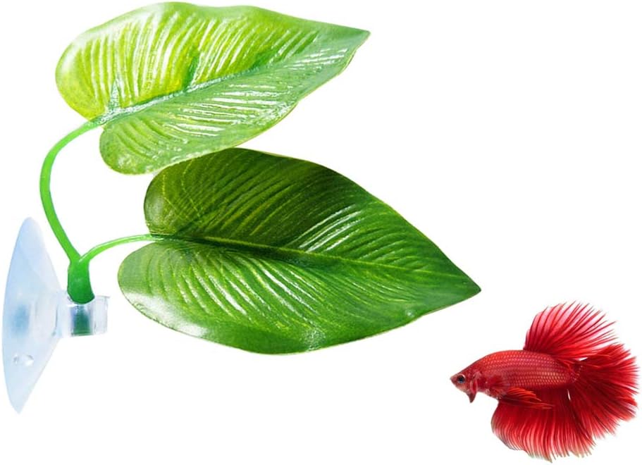 CousDUoBe 2 Pack Betta Fish Leaf Pad Improves Betta's Health - 1 Pack
