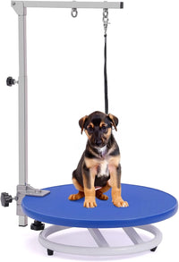 Dog Grooming Table for Dogs At-Home - blue
