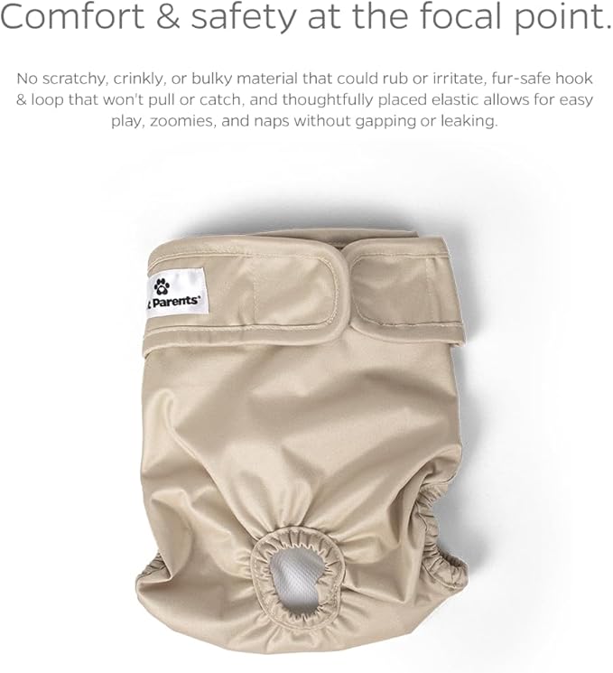 Pet Parents® Washable Dog Diapers (3pack) + Extendrs® of Durable Doggie Diapers, Premium Dog Diapers Female (Large, Spruce)