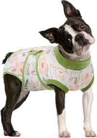 FUAMEY Dog Recovery Suit Male,Dogs Surgery Neuter Suits Puppy Spay Shirts for Female Protect Dog's Skin Anti Licking Abdominal Wounds Doggie Onesie Pet Bodysuit Alternative to Cone Rabbit Flower M